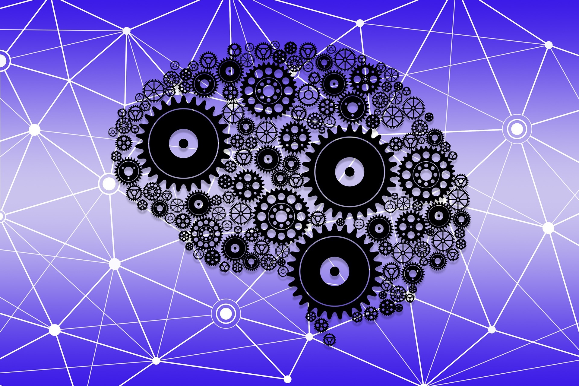 Software evaluation and analysis